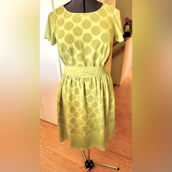 Sara Campbell Black Polka Dot Under Sheer Lime Green Fit & Flare Dress Sz 10 - Picture 1 of 11